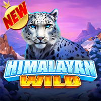 DEMO Himalayan Wild